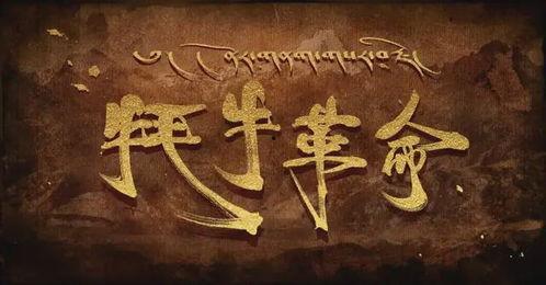 牦牛的岁月背景音乐,牦牛与高原的交响