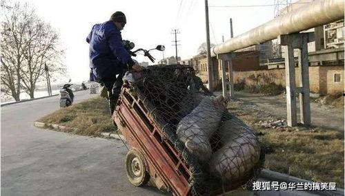 搞笑土匪图片,搞笑土匪图鉴，笑料百出！