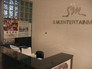 韩国娱乐公司训练,揭秘明星诞生的训练体系