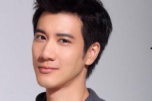 王力宏资料简介,音乐才子与全能艺人的人生轨迹