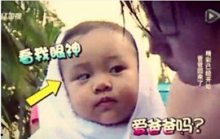 贾乃亮的表情包,笑出腹肌的欢乐瞬间