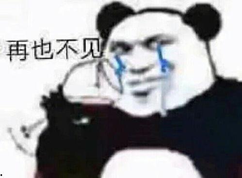 不是他的表情包,那些隐藏在“不是他的表情包”背后的秘密