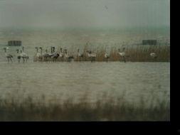 新旅程图片,探索未知，开启梦想之旅